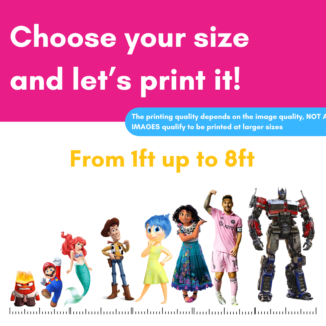 CUT OUTS