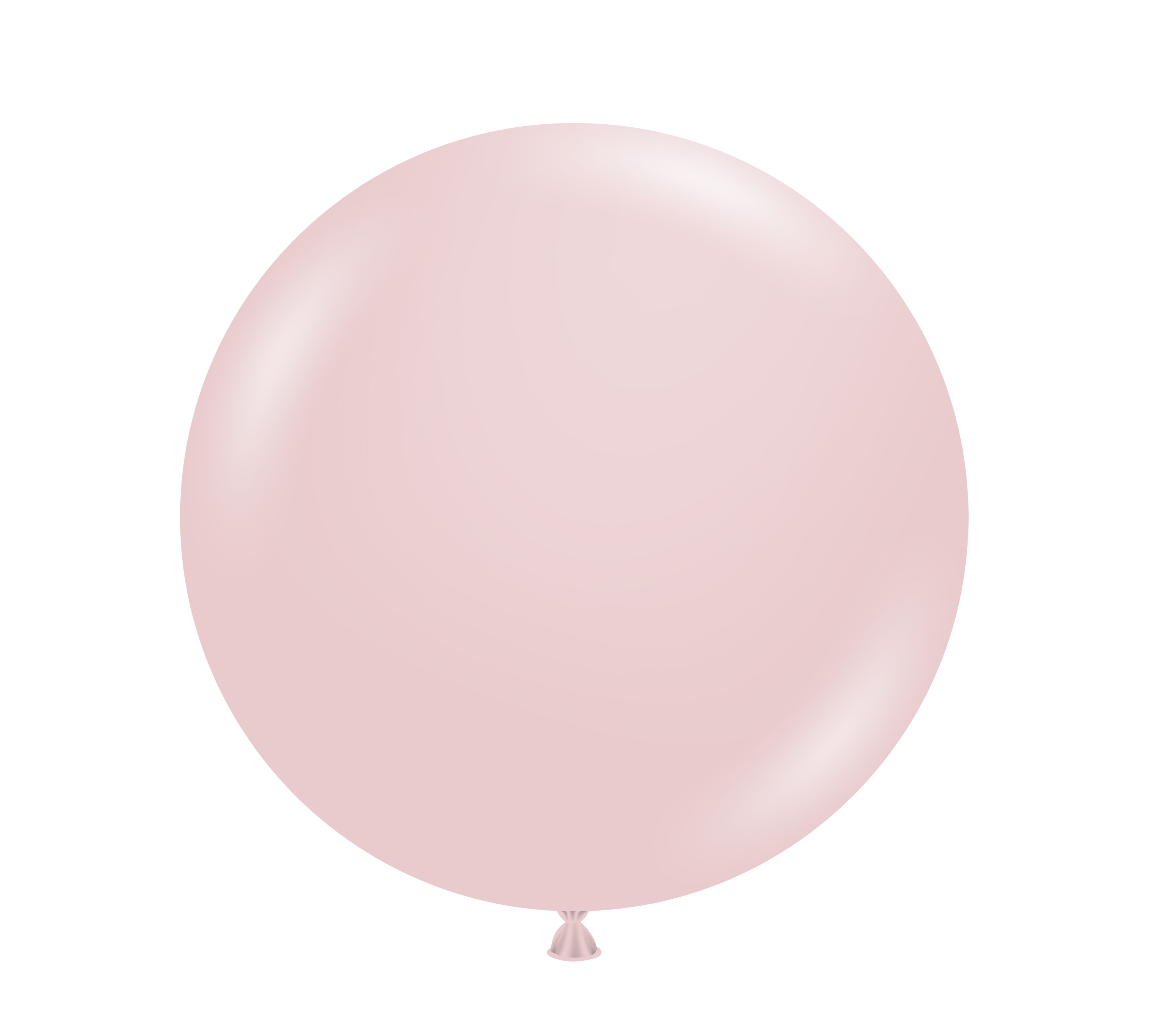 TUFTEX | Designer Balloon Cameo - 36 in. - 2Pcs Per Package