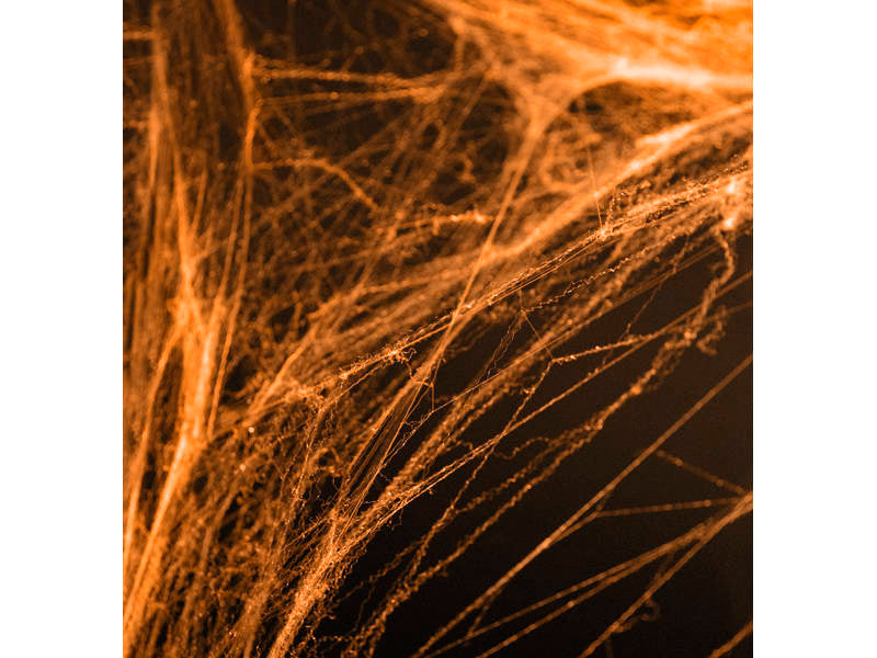Orange Halloween spider web decoration – stretchy synthetic web for spooky party setups