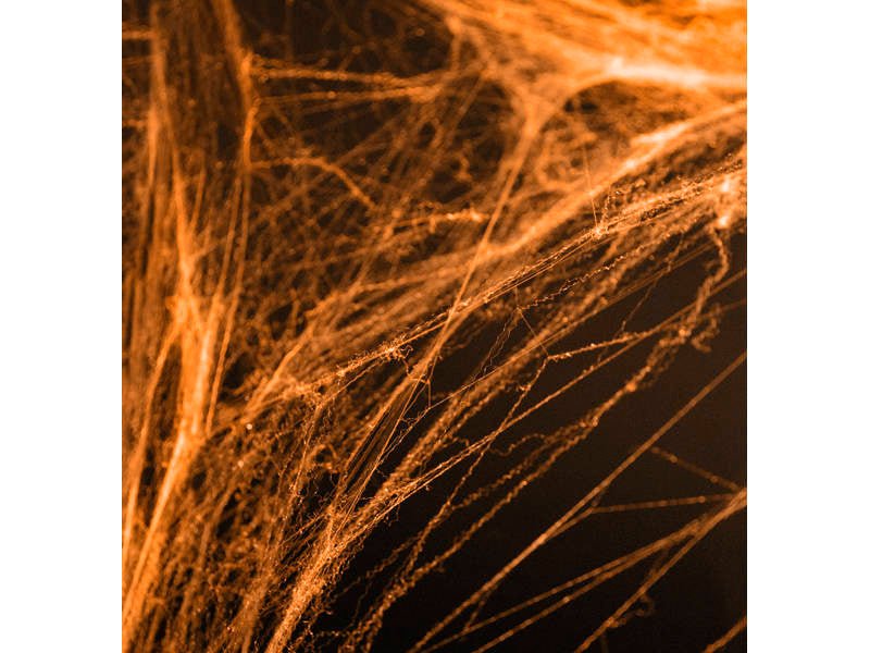 Orange Halloween spider web decoration – stretchy synthetic web for spooky party setups