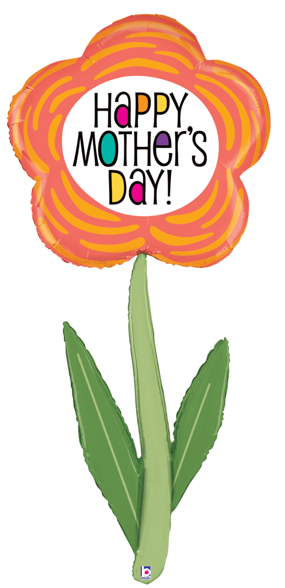 Fresh Pick Mother's Day Daisy