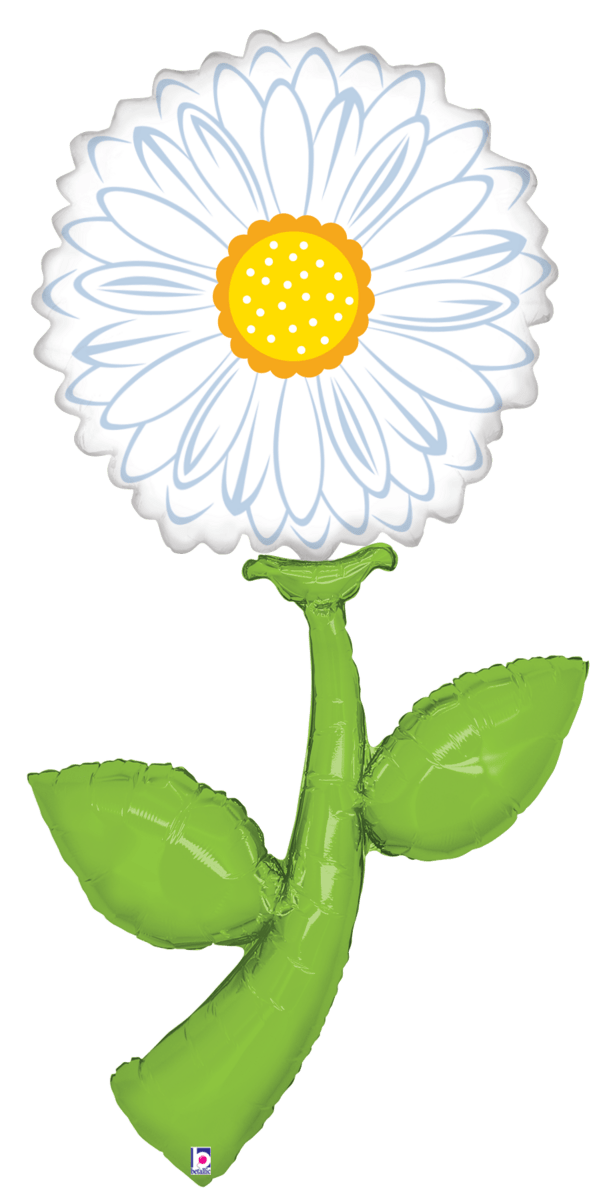 Fresh Picks White Daisy 60"