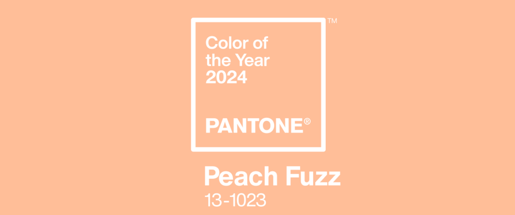 Pantone 2024