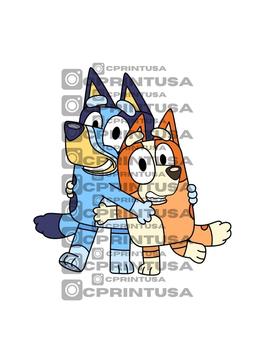 Collection feature image