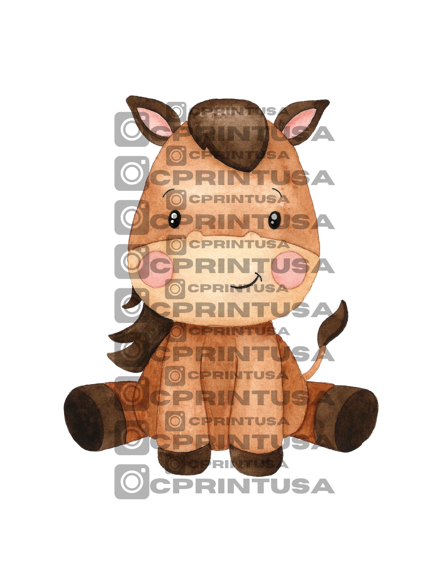 Collection feature image