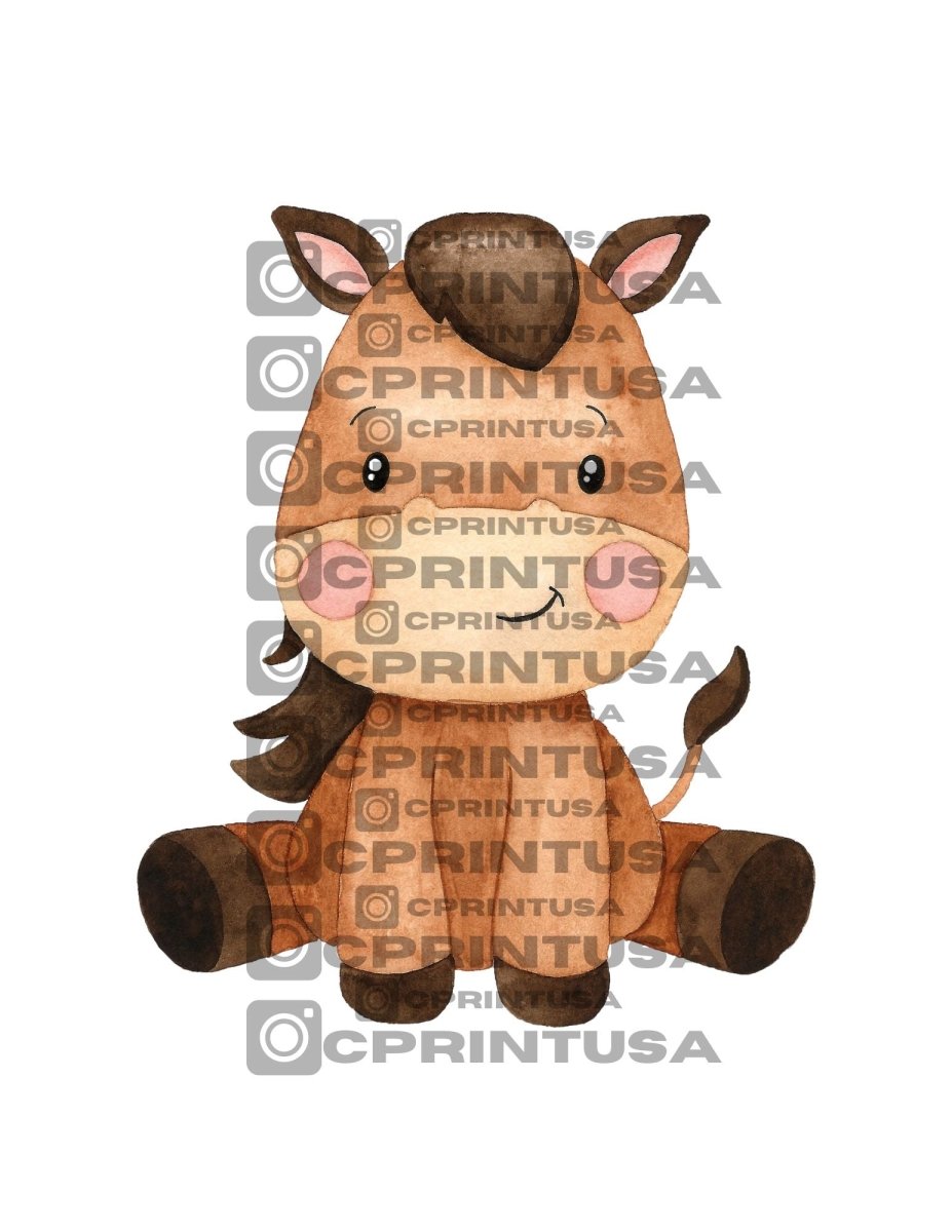 Collection feature image