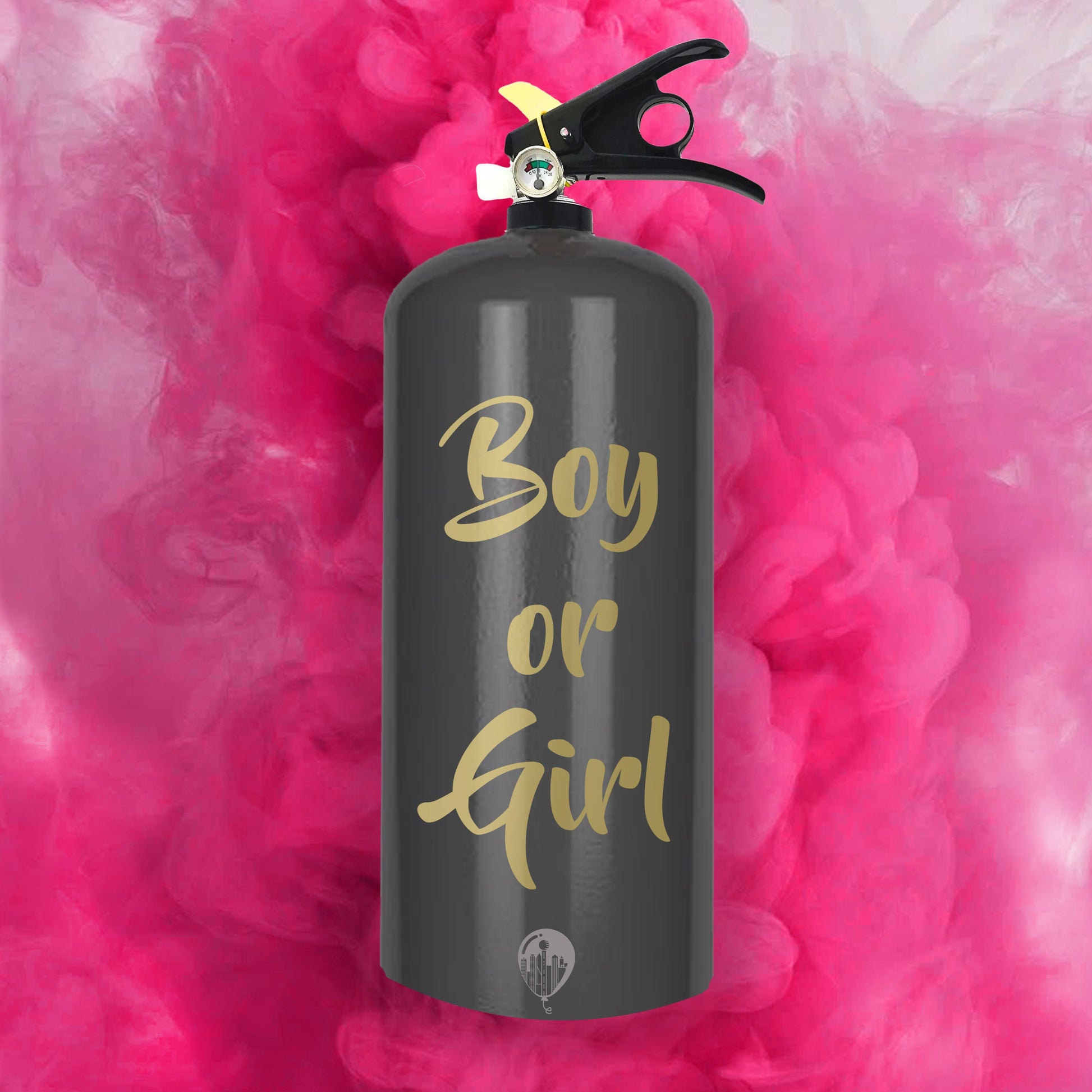 Gender Reveal Extinguisher Color Powder Smoke Blaster