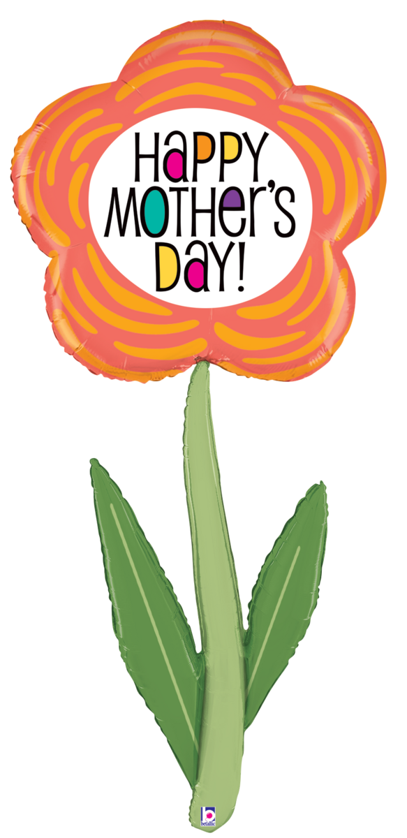 Fresh Pick Mother's Day Daisy