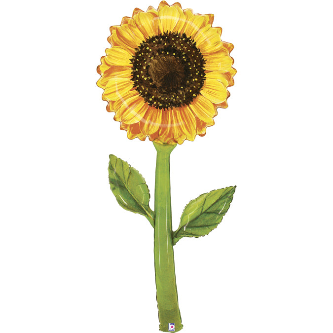 Fresh Pick Sunflower 5ft