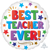 Best Teacher Ever 18"