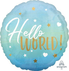 Hello World (Baby Blue Boy) 17
