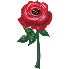 Painted Rose 62