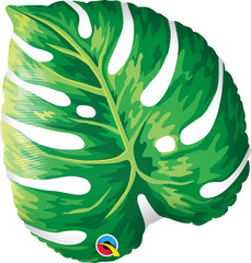 Tropical Philodendron 21