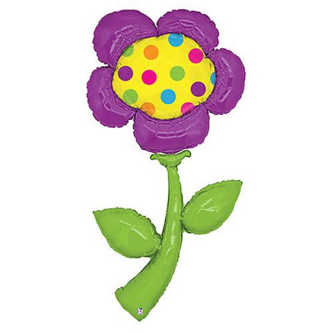 Fresh Picks Daisy 60