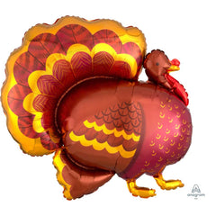 Fancy Turkey 32